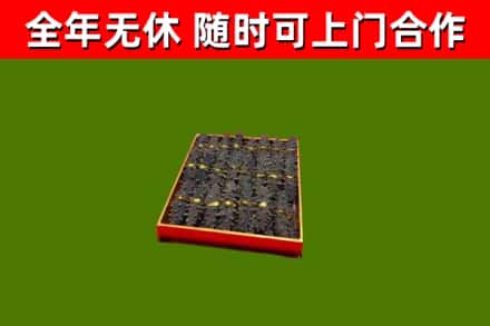 沭阳县回收海参